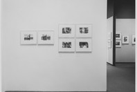 Lee Friedlander. Dec 6, 1974–Feb 17, 1975. 1 other work identified
