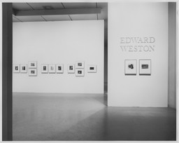 Installation photo, 1 of 31