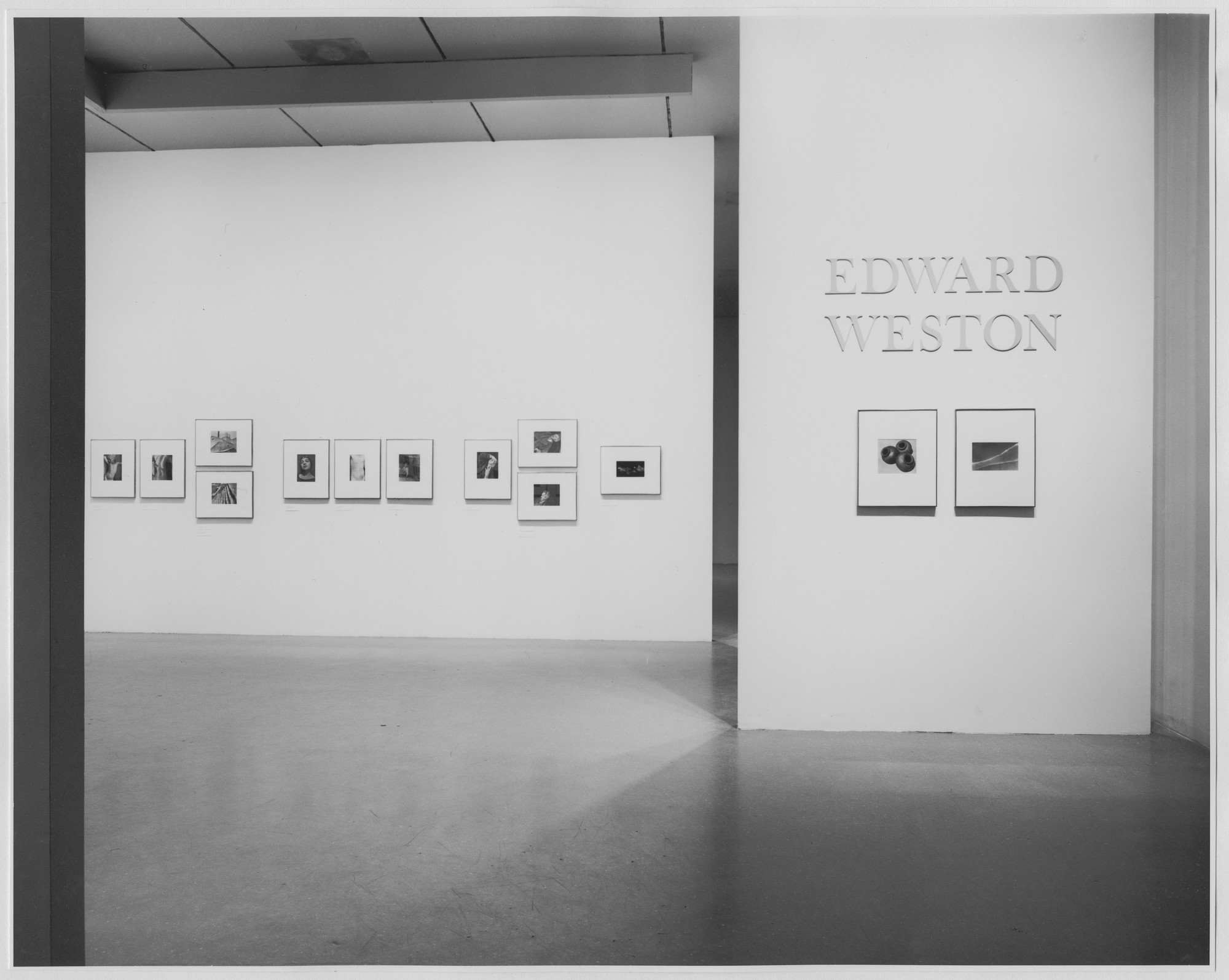 アート・デザイン・音楽 Retrospective Edward Weston Edward Weston | MoMA