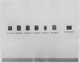 Installation photo, 8 of 31