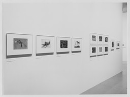 Installation photo, 10 of 31