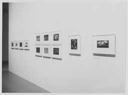 Installation photo, 11 of 31