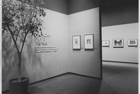 American Prints: 1913–1963. Dec 3, 1974–Mar 3, 1975.