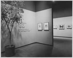 The Museum of Modern Art Archives, New York