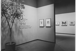 The Museum of Modern Art Archives, New York