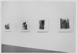 Installation photo, 5 of 5