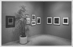 Installation photo, 7 of 12