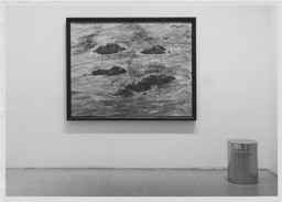 Installation photo, 4 of 8