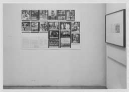 Installation photo, 7 of 8