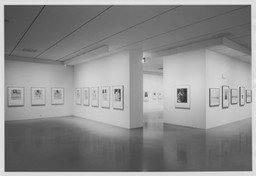 Installation photo, 7 of 8