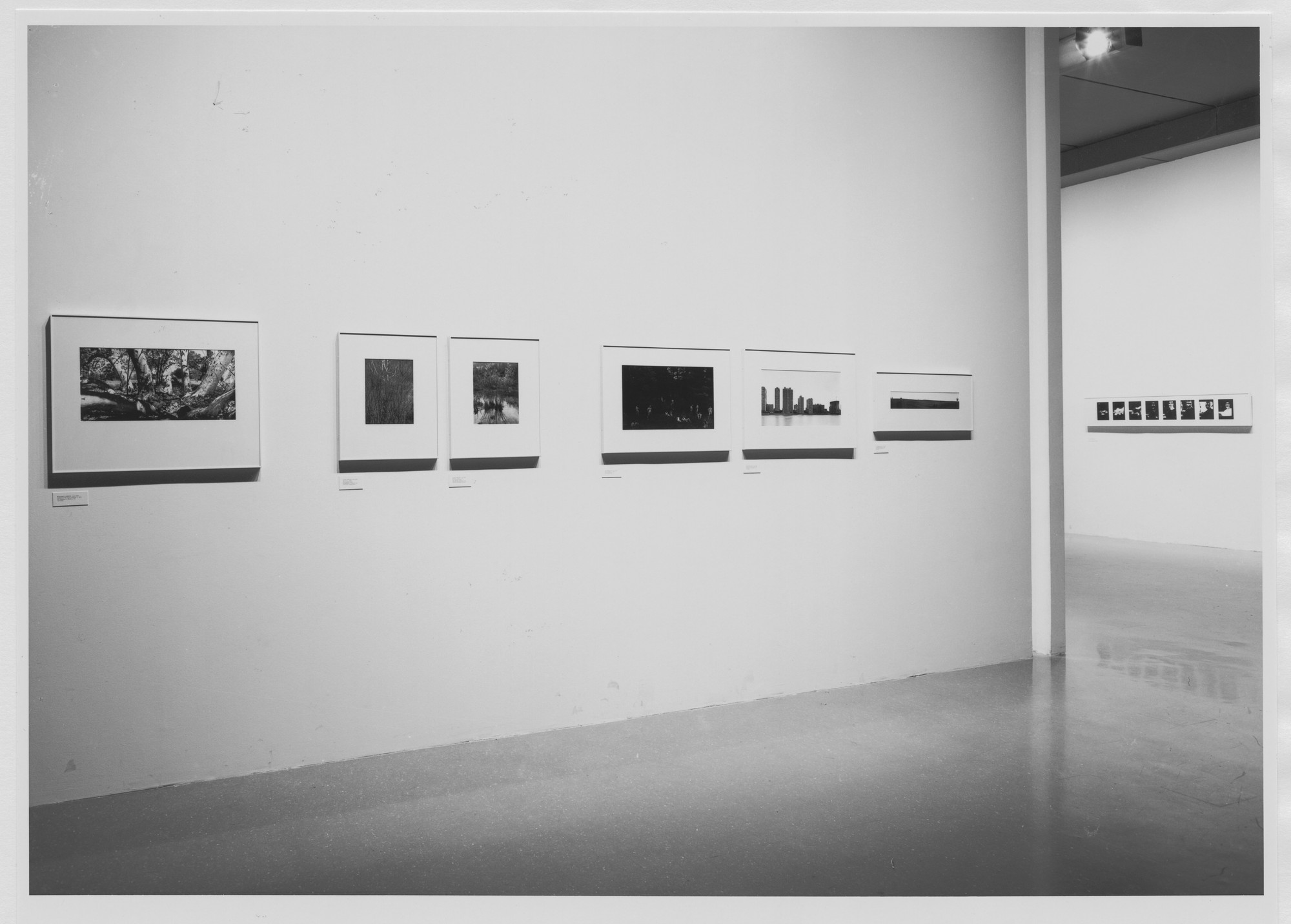 Installation view of the exhibition "Mirrors and Windows American