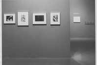 Mirrors and Windows: American Photography since 1960. Jul 26–Oct 2, 1978. 2 other works identified