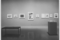 Mirrors and Windows: American Photography since 1960. Jul 26–Oct 2, 1978. 1 other work identified
