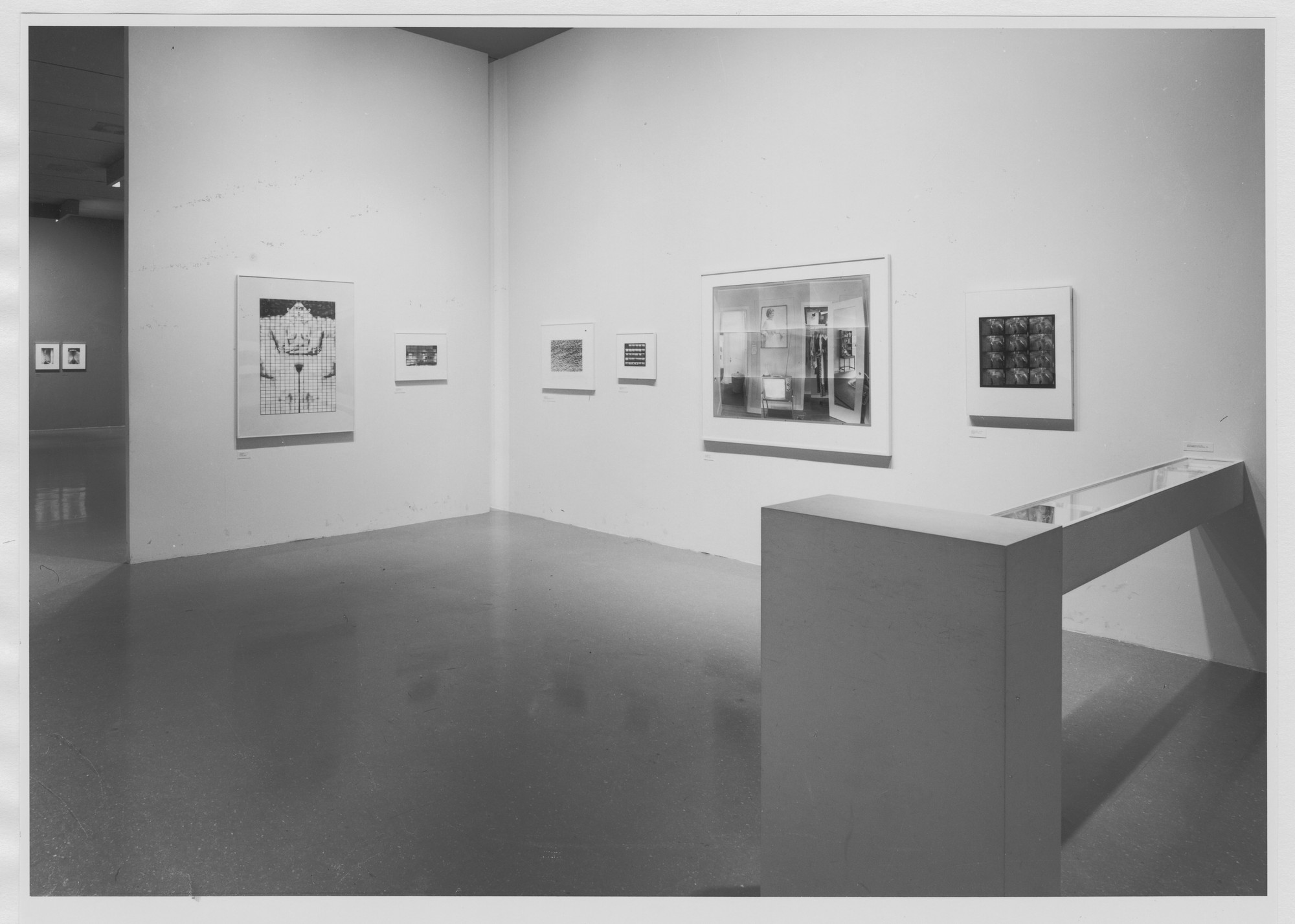 Installation view of the exhibition "Mirrors and Windows American