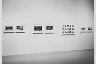 Mirrors and Windows: American Photography since 1960. Jul 26–Oct 2, 1978. 1 other work identified