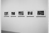 Mirrors and Windows: American Photography since 1960. Jul 26–Oct 2, 1978. 1 other work identified