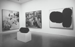 Installation photo, 4 of 5