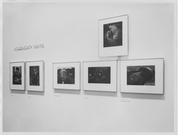 Installation photo, 1 of 1