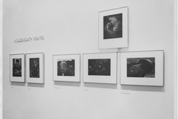 The Museum of Modern Art Archives, New York