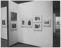 Edward Steichen Photography Center Reinstallation. Dec 21, 1979. 1 other work identified