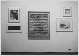 Installation photo, 19 of 21