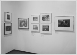 Edward Steichen Photography Center Reinstallation. Dec 21, 1979. 3 other works identified