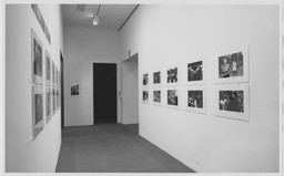 Installation photo, 2 of 3