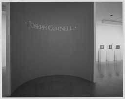 Installation photo, 2 of 39