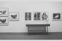 Pablo Picasso: A Retrospective. May 16–Sep 30, 1980. 6 other works identified