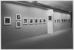 Installation photo, 5 of 11