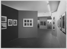 Installation photo, 6 of 11