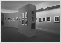 Installation photo, 9 of 11