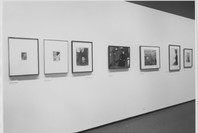 The Symbolist Aesthetic. Dec 22, 1980–Mar 10, 1981. 2 other works identified