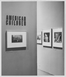The Museum of Modern Art Archives, New York