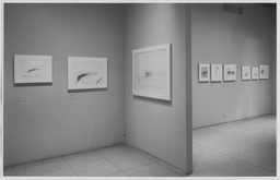 Installation photo, 7 of 11