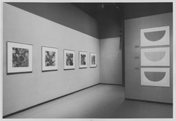 Installation photo, 6 of 12