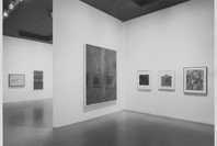 Drawing Now: 1955–1975. Jan 23–Mar 9, 1976.