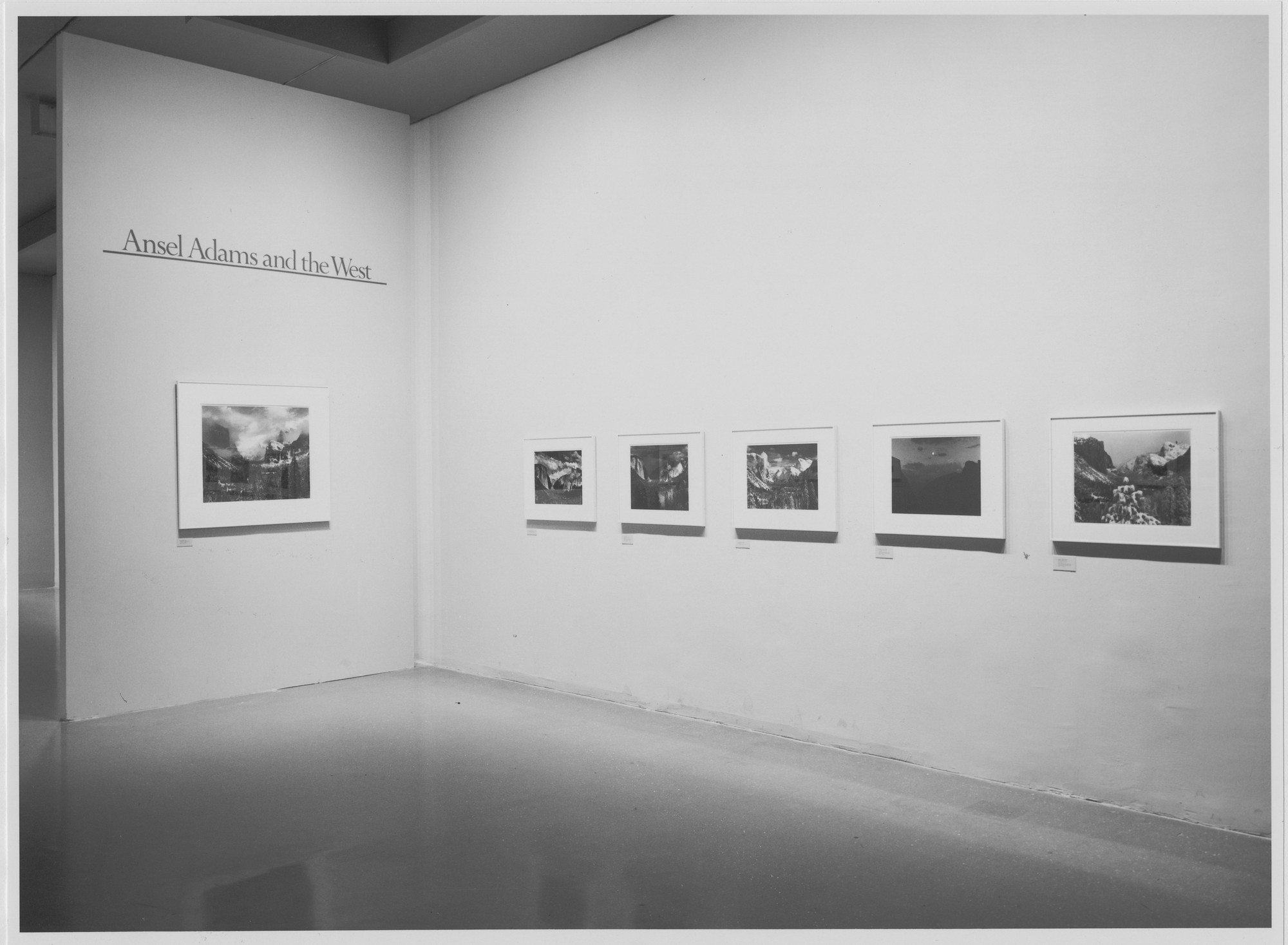 Installation view of the exhibition "Ansel Adams and the West" MoMA