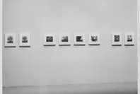 The Work of Atget: Old France. Oct 3, 1981–Jan 3, 1982. 4 other works identified