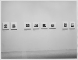 Installation photo, 3 of 24