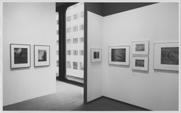Installation photo, 5 of 7