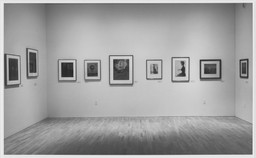 Installation photo, 3 of 24