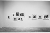 Masterpieces from the Collection. Mar 2, 1982–Mar 1, 1983. 1 other work identified