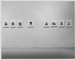 Installation photo, 10 of 24
