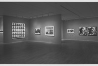 Big Pictures by Contemporary Photographers. Apr 13–Jun 28, 1983.