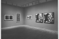 Big Pictures by Contemporary Photographers. Apr 13–Jun 28, 1983.