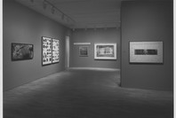 Big Pictures by Contemporary Photographers. Apr 13–Jun 28, 1983.