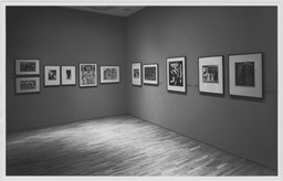 Installation photo, 6 of 24