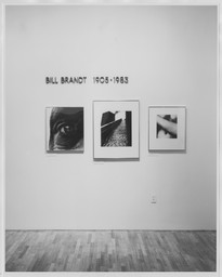 Bill Brandt, 1905–1983. Dec 22, 1983–Jan 3, 1984. 1 other work identified