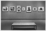 Selections from the Permanent Collection: Photography. May 17, 1984. 2 other works identified